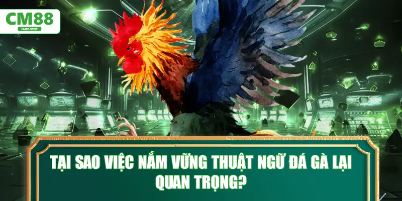 Tại sao việc nắm vững thuật ngữ đá gà lại quan trọng?