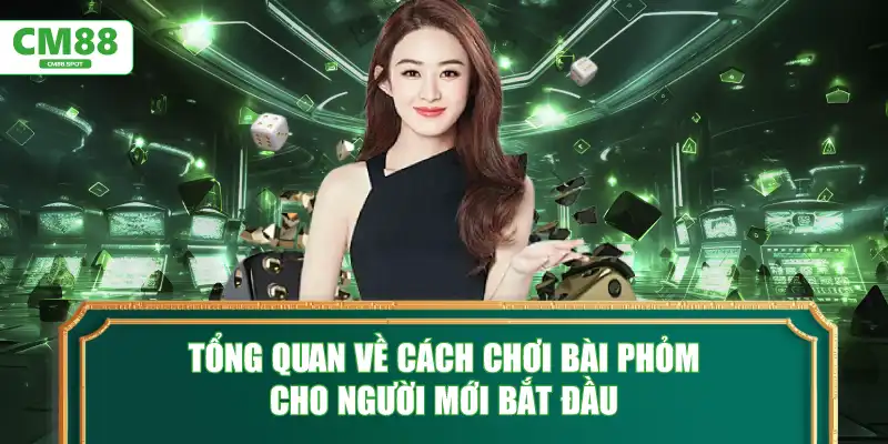 Tổng quan về cách chơi bài phỏm cho người mới bắt đầu